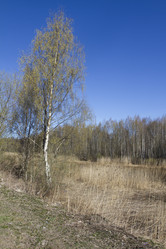 Similar image 6440946