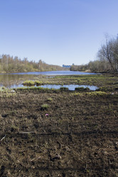 Similar image 6440947