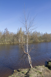 Similar image 6440948