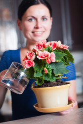 Similar image 6440949