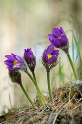 Similar image 6440959