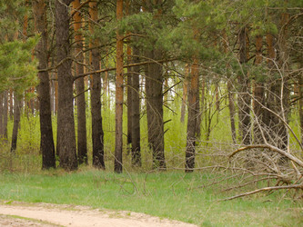 Similar image 6440992