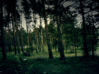 Similar image 6440993