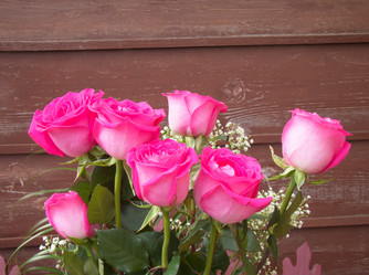 Similar image 6440995