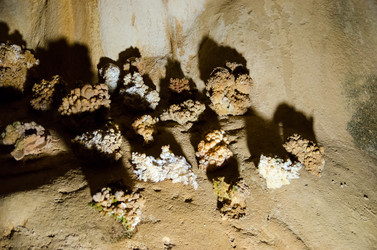 Similar image 6441003