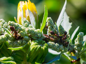 Similar image 6441010