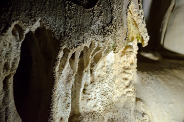 Similar image 6441030