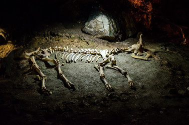 Similar image 6441034