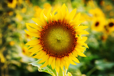 Similar image 6441051