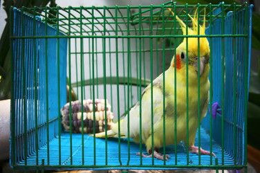 Similar image 6441056