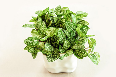 Similar image 6441062