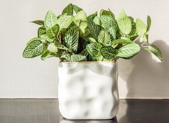 Similar image 6441069