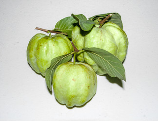 Similar image 6441074