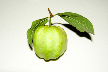 Similar image 6441075