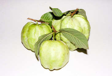 Similar image 6441077