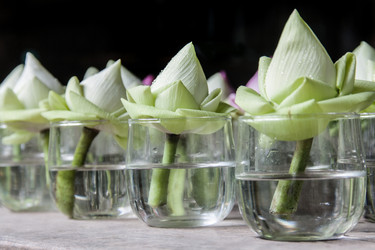 Similar image 6441080