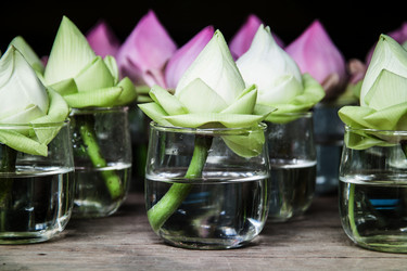 Similar image 6441082