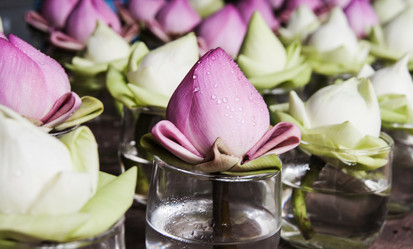 Similar image 6441088