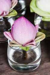 Similar image 6441089