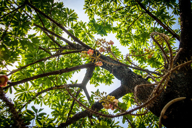 Similar image 6441090