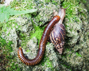 Similar image 6441093