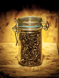 Similar image 6441107