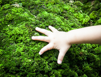 Similar image 6441111