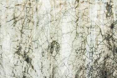 Similar image 6441113