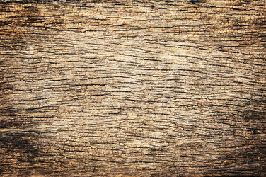 Similar image 6441116