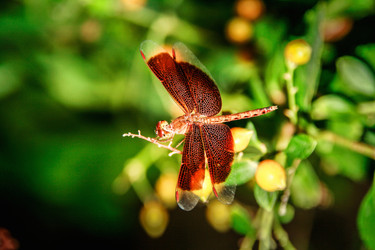 Similar image 6441122