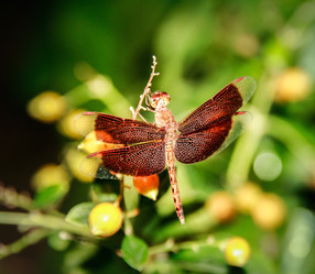 Similar image 6441123