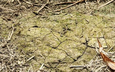 Similar image 6441129