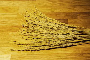 Similar image 6441131