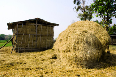 Similar image 6441141