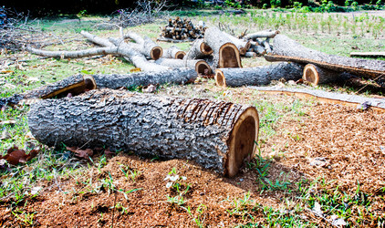 Similar image 6441145