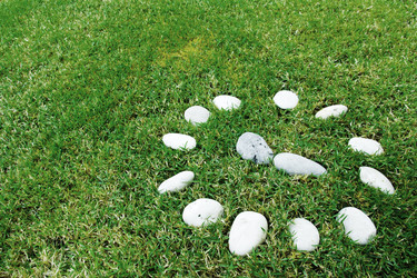 Similar image 6441157