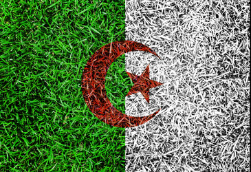 Similar image 6441174