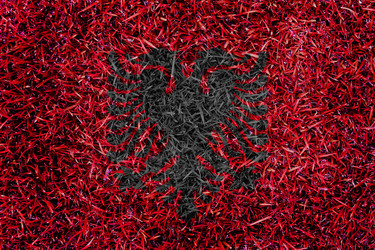 Similar image 6441175