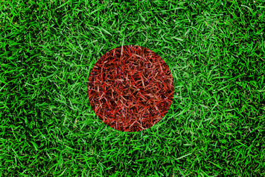 Similar image 6441178