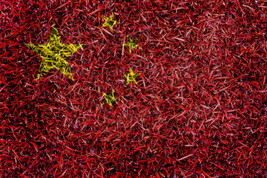 Similar image 6441185