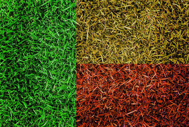 Similar image 6441191