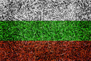 Similar image 6441195