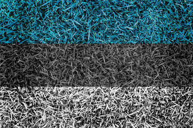 Similar image 6441215