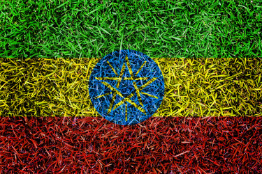 Similar image 6441217