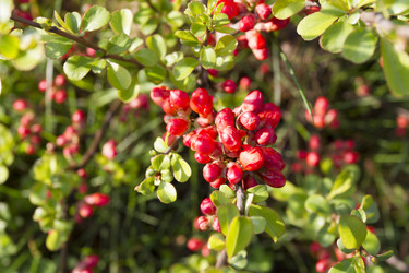 Similar image 6441218