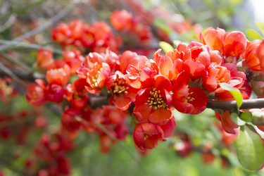 Similar image 6441222