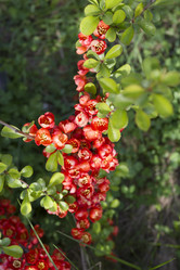 Similar image 6441224