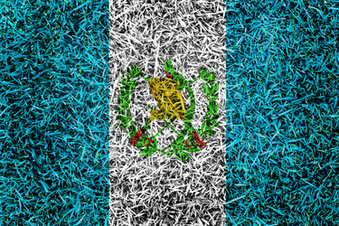 Similar image 6441238