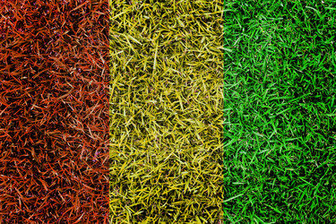 Similar image 6441239