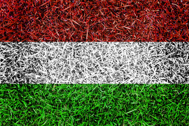 Similar image 6441252